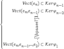 \{ \array{rcl$Vect(e_n) & \subset & {\mathcal K}er \varphi_{n-1} \\ \vspace{5} \\ Vect(e_n,e_{n-1}) & \subset & {\mathcal K}er \varphi_{n-2}\\ \vdots\\ Vect(e_n,e_{n-1},...,e_2) & \subset & {\mathcal K}er \varphi_1}